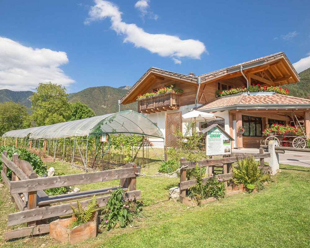 Crosina Holiday – Ferienwohnungen in der Nähe des Ledrosees im Trentino für einen Paar- oder Familienurlaub Willkommen in der B&B Fattoria della Patty