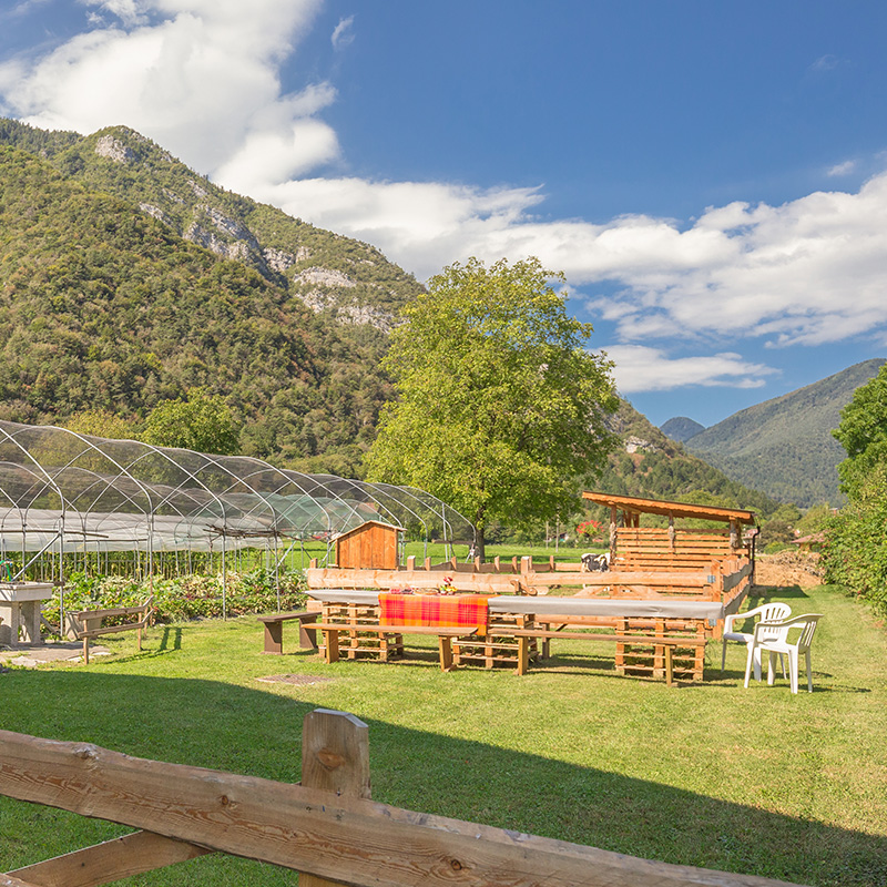 B&B Fattoria della Patty, rooms with garden and panoramic terrace in Val di Ledro in Trentino